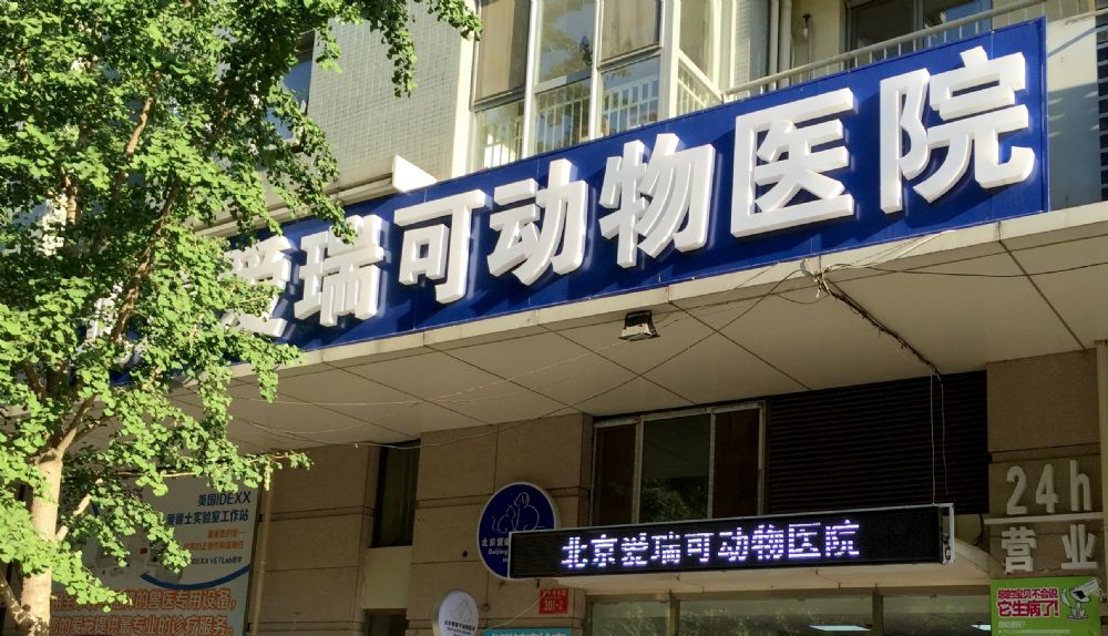 北京愛瑞可動(dòng)物醫(yī)院